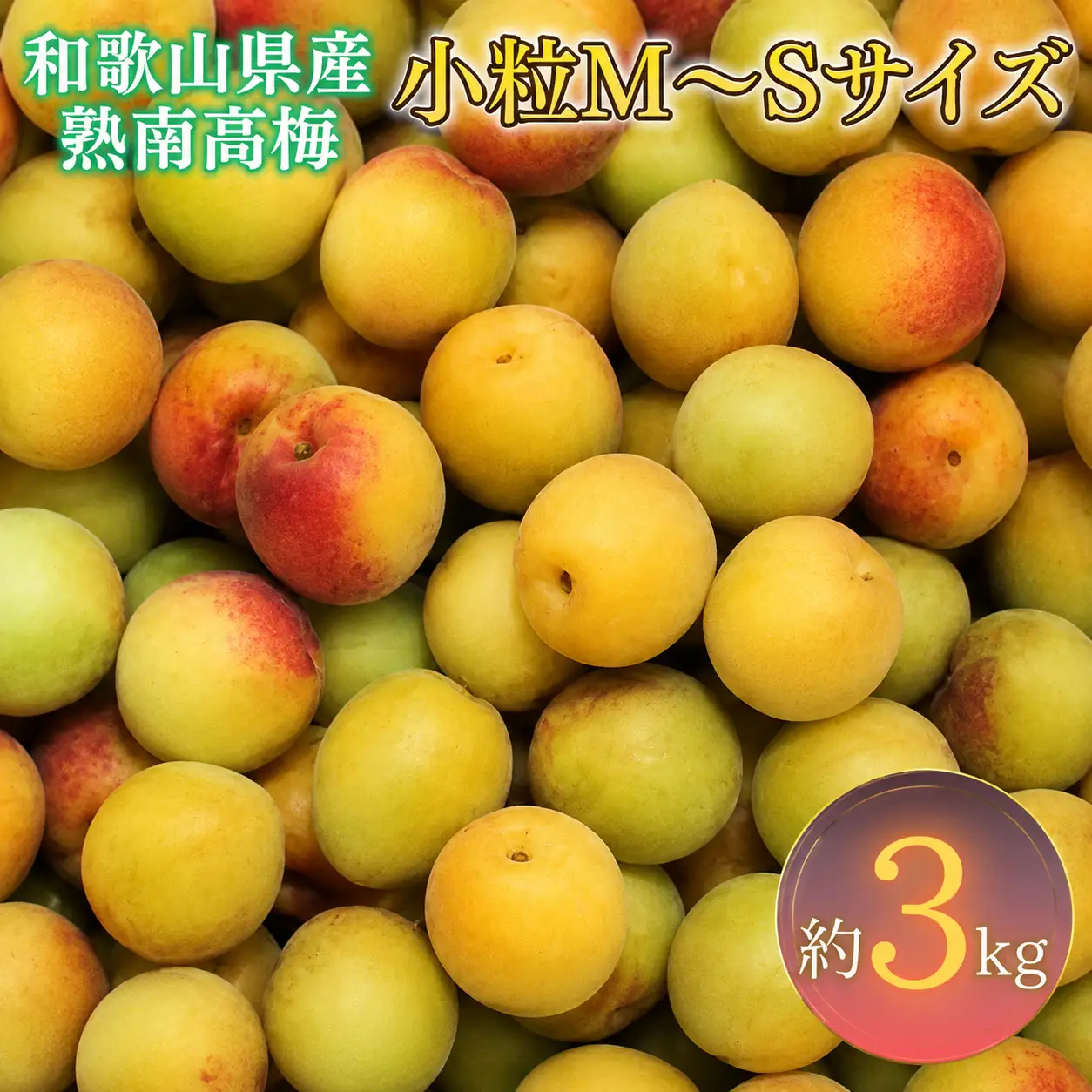 生うめ 約３kg (S、Mサイズおまかせ)+3%増量 優品【梅干・梅酒用】紀州和歌山県産 熟南高梅   ＜2026年6月下旬～7月上旬発送予定＞/ 梅干し 梅酒 ウメシロップ ジュース ジャム他 紀州熟南高梅 青梅 黄梅 朝採り フルーツ 果物 くだもの 食品 人気 おすすめ 【G-art043】
