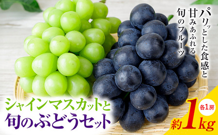 【2026年発送】シャインマスカット ぶどう 岡山県産 シャインマスカットと旬のぶどうセット 約1kg 2房 Grapes garden goat《2026年8月中旬～10月上旬頃に出荷予定(土日祝除く)》岡山県矢掛町 葡萄 果物 優品 スイーツ フルーツ デザート
