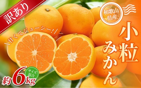  小粒みかん 約6kg 【訳あり】 森本農園の手選別和歌山県産 【BV-mrmt066】