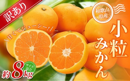 小粒みかん 約8kg 【訳あり】 森本農園の手選別 和歌山県産 【BV-mrmt067】