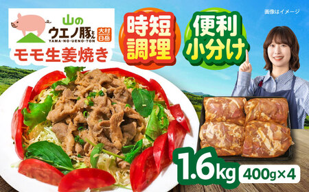 豚肉モモ生姜焼き 1.6kg[ACCF003]豚肉 生姜焼き