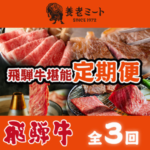 【3か月定期便】月替わりで色々な飛騨牛を楽しめる全3回