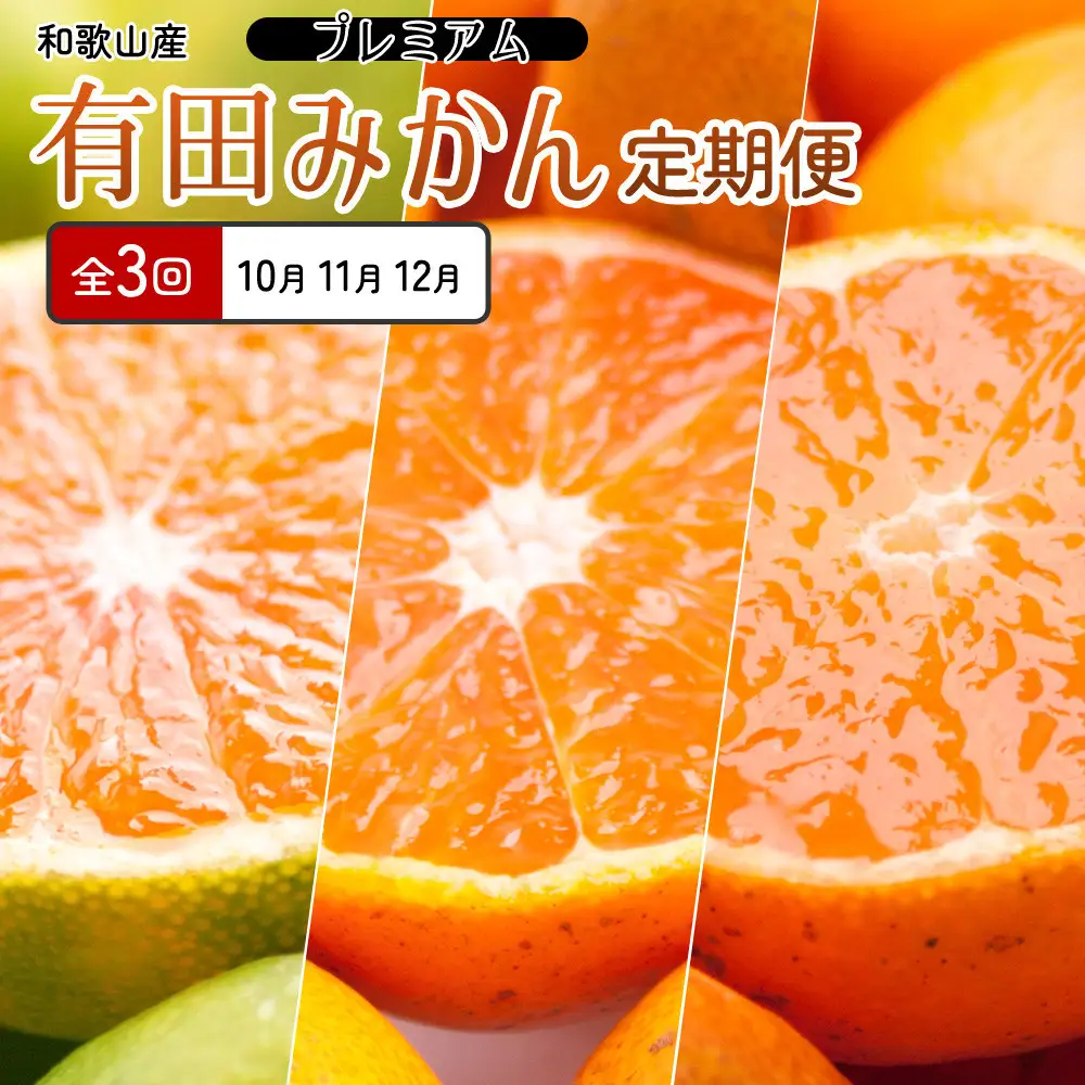 厳選 柑橘定期便SS（10～12月）全3回【みかん定期便お試し版】［IKE284］