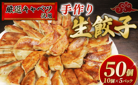 冷凍餃子 50個 10個 × 5パック 餃子