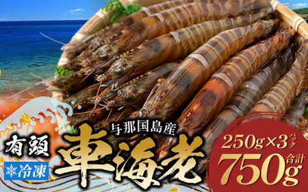 こだわりの車海老　有頭車海老（冷凍）250ｇ×3パック F009｜沖縄県 与那国町 与那国 車海老 車エビ 海老 えび エビ 産地直送