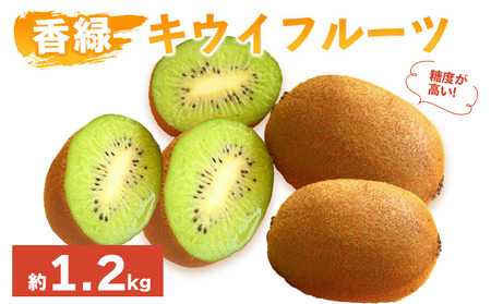 先行予約 キウイフルーツ 香緑 約1.2kg キウイ | 香川県丸亀市