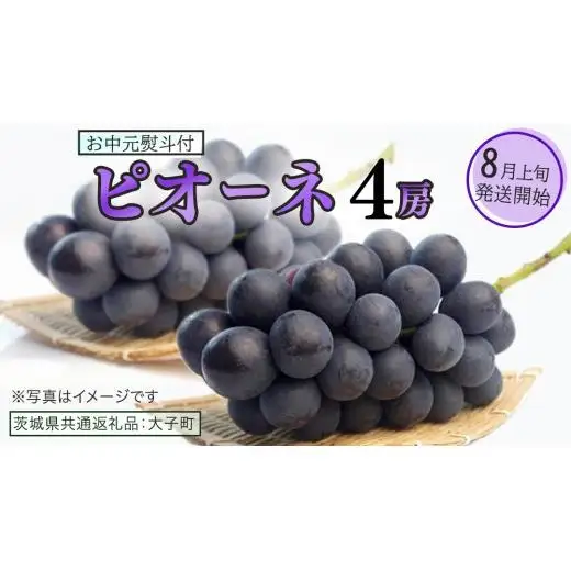 【 お中元 熨斗付き 】 ピオーネ ４房 【2026年8月上旬発送開始】(茨城県共通返礼品：大子町)