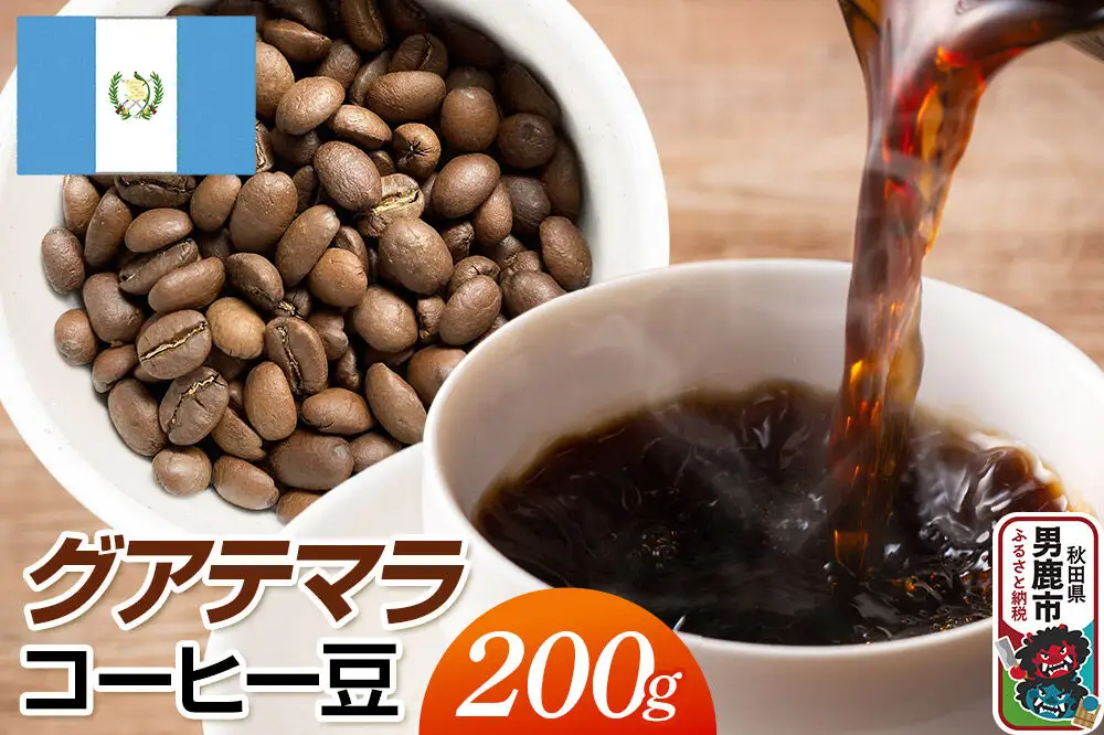グアテマラコーヒー豆 200g コーヒー豆 秋田県 男鹿市 クロネコゆうパケット