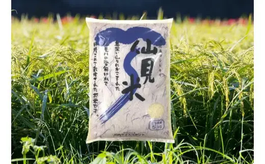 令和7年産 特別栽培米コシヒカリ 「仙見米」10kg | 新潟県 五泉市