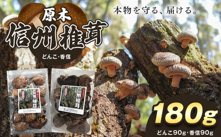 原木 信州椎茸 どんこ・香信 干ししいたけ セット