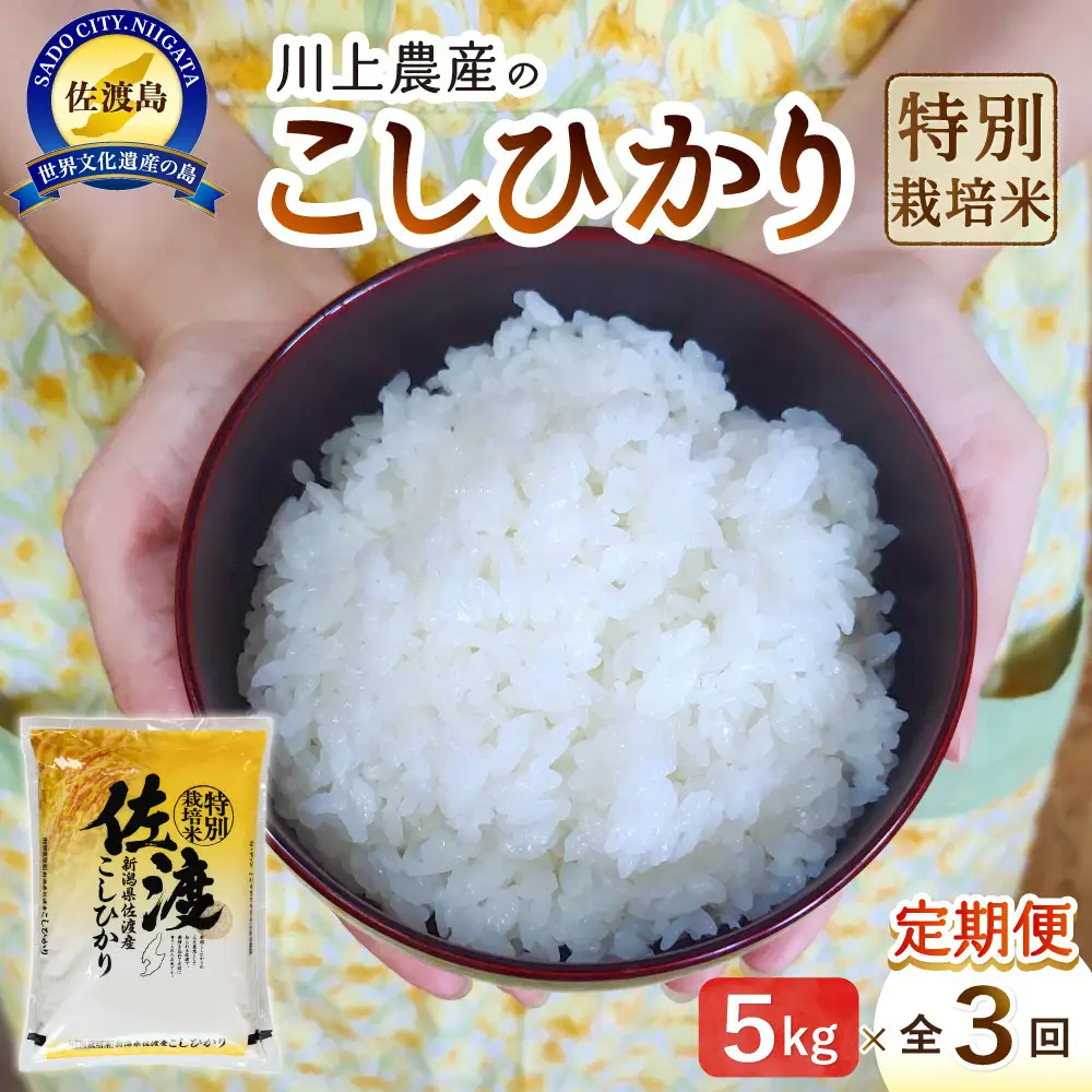 【レビューキャンペーン実施中！】令和7年産 佐渡 川上農産のコシヒカリ 定期便（5kg×全3回）