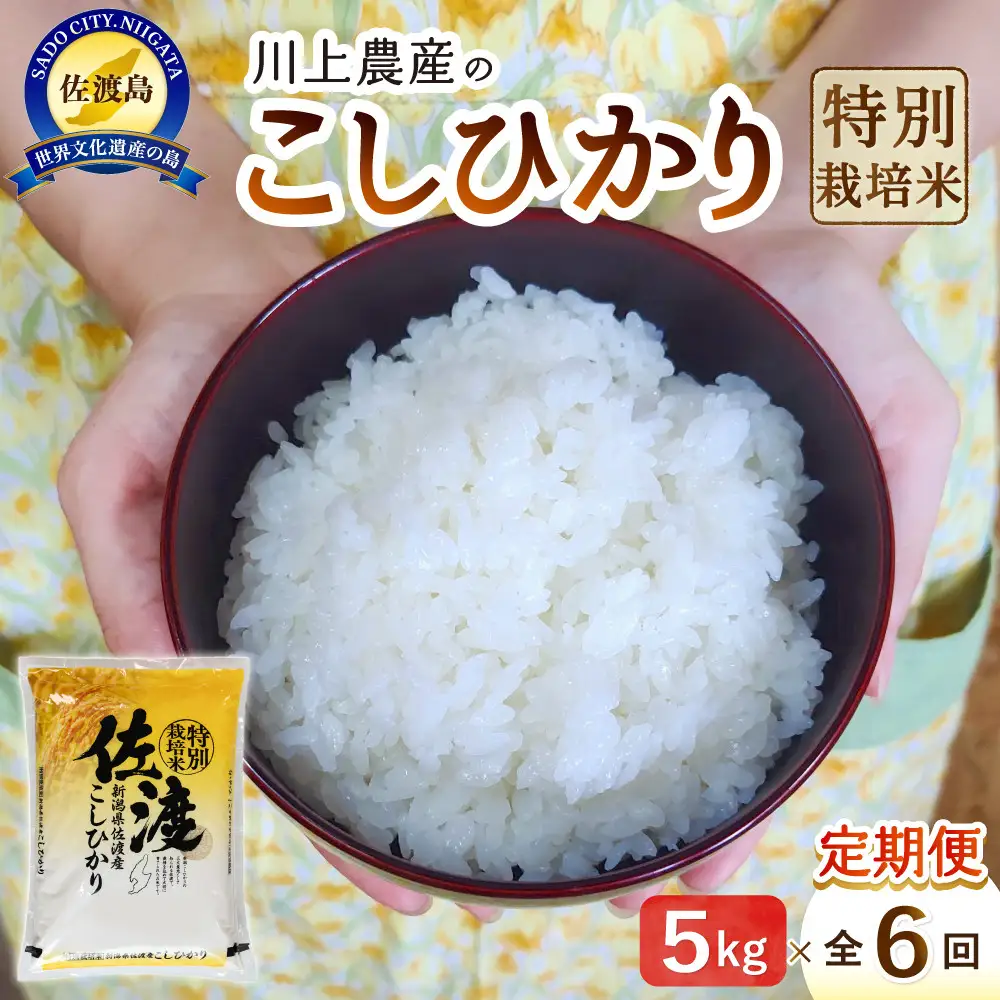 【レビューキャンペーン実施中！】令和7年産 佐渡 川上農産のコシヒカリ 定期便（5kg×全6回）