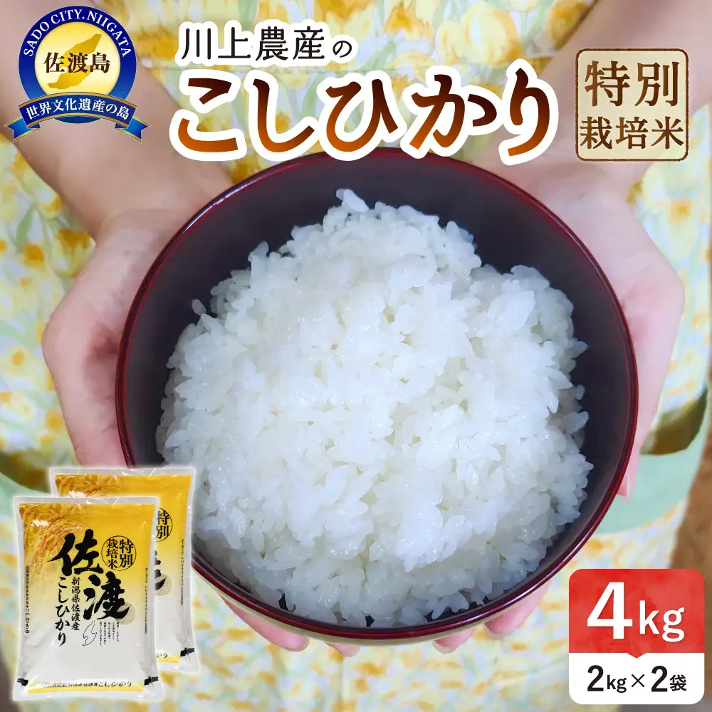 令和7年産 佐渡 川上農産のコシヒカリ （2kg×2）