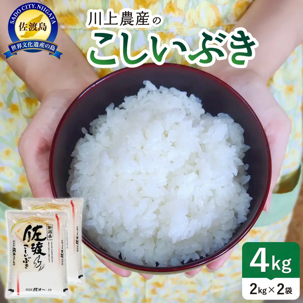 【レビューキャンペーン実施中！】令和7年産 佐渡 川上農産のこしいぶき（2kg×2）