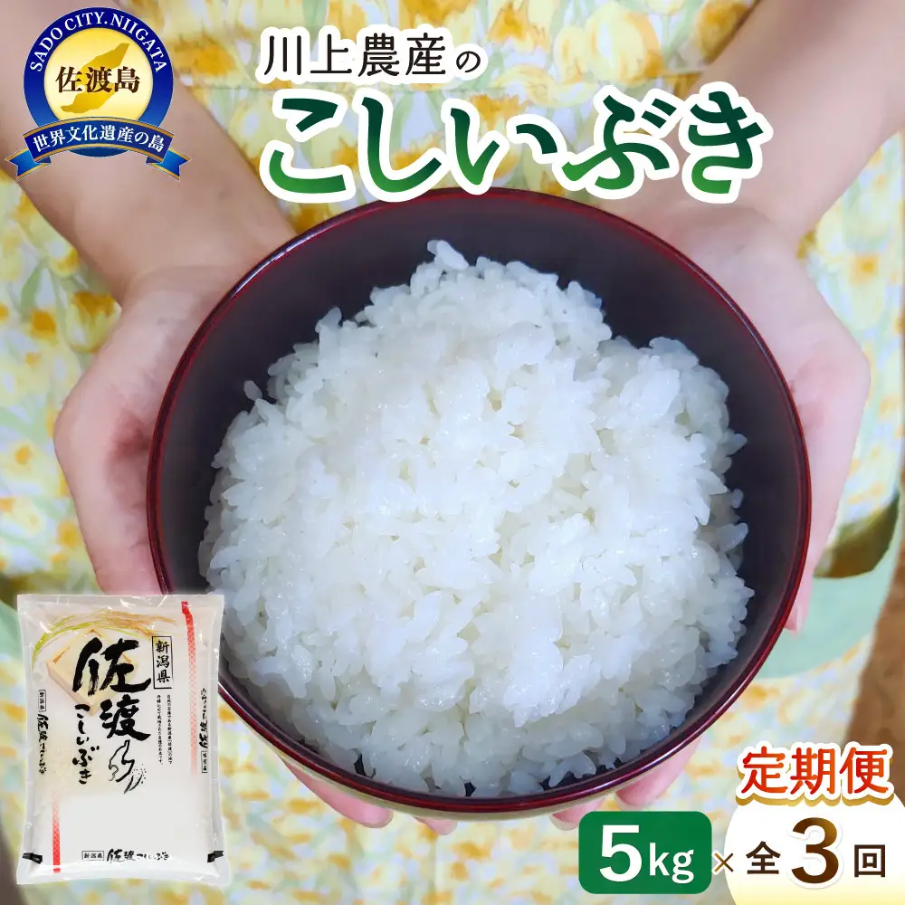 【レビューキャンペーン実施中！】令和7年産 佐渡 川上農産のこしいぶき 定期便（5kg×全3回）