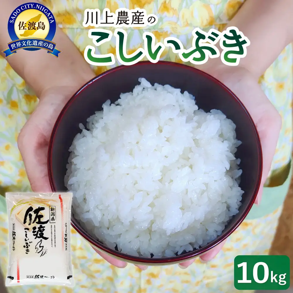 【レビューキャンペーン実施中！】令和7年産 佐渡 川上農産のこしいぶき（10kg）