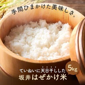 ＜直売所「まんだらの庄」＞坂井はぜかけ米（5ｋｇ） ｜米  コシヒカリ 信州 人気 白米 筑北村