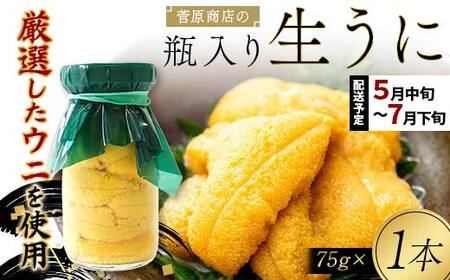 【発祥の地】【牛乳瓶入り生うに】【2026年5月中旬以降発送 】菅原商店 生うに 75g×1本 国産 三陸山田 岩手県 山田町 三陸 旬 うに 牛乳瓶 無添加 ウニ 雲丹 うに丼 無添加ウニ キタムラサキウニ 特選 ミョウバン不使用 YD-921