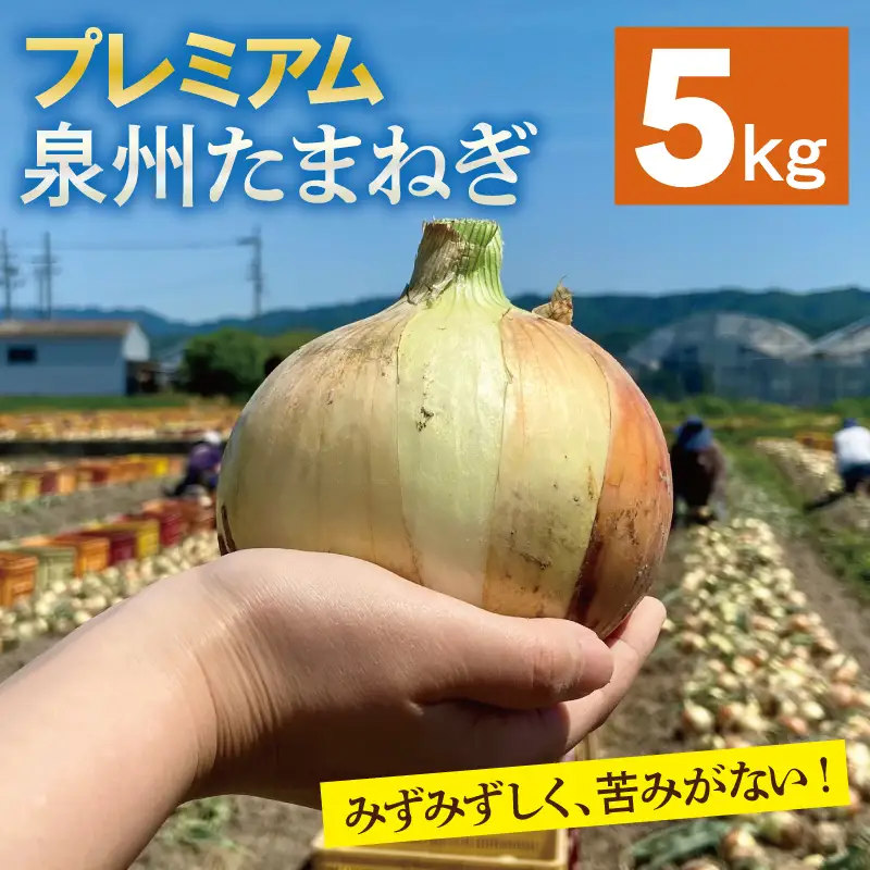 【プレミアム】泉州たまねぎ 5kg