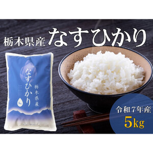 令和7年産 栃木県産 なすひかり 5kg JAなすの産地直送【大田原市・那須塩原市・那須町共通返礼品】