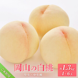 桃 2026年 8月発送 ご家庭用 岡山の 白桃（早生、中生種）約1.3kg 4～6玉 もも モモ フルーツ 果物 岡山市 一宮地区産 国産 赤木農園