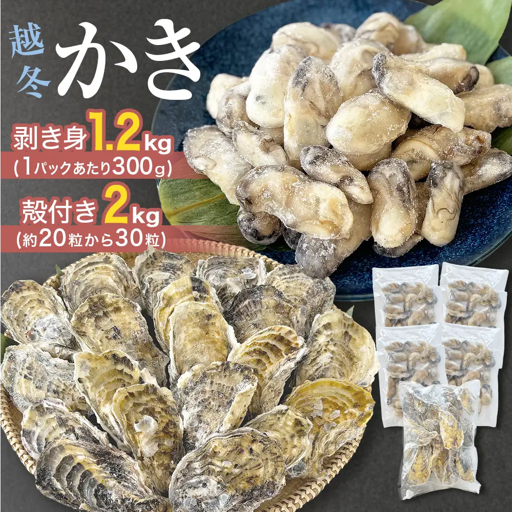 越冬かき剥き身 越冬殻付かき セット 加熱用 牡蠣 かき カキ 剥き身 むき身 殻付き 殻つき 貝 海鮮 魚介 魚介類 宮城県産 新鮮 急速冷凍 濃厚 宮城県 石巻市