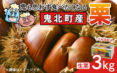 【鬼の栗拾い】鬼北町産くり 約3kg ｜ 大粒 生栗 和栗 国産栗 地域限定 丹波栗 くり 栗 栗ご飯 生栗 果物 フルーツ 先行予約 数量限定 JA えひめ南農業協同組合 ※2026年9月～発送 