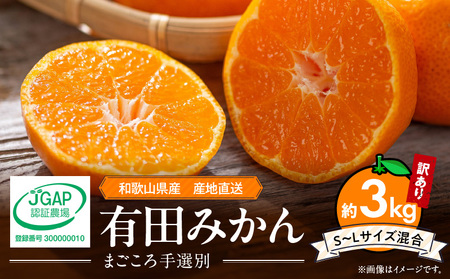 ZE6481_【2026先行予約】有田みかん 約3kg 【家庭用】 (S～Lサイズ混合)【まごころ手選別】