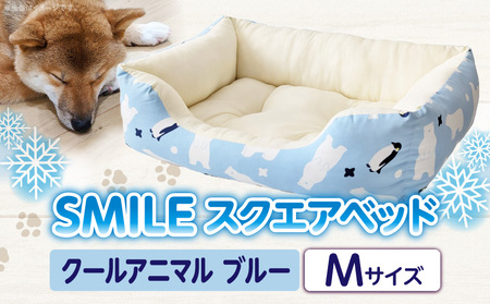 SMILE スクエアベッド クールアニマル柄 ブルーMサイズ ワンちゃん わんちゃん ペット用品 ペット用 ベッド 犬ベッド 奈良県 生駒市