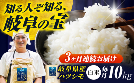 【3回定期便】【令和7年度産】白米ハツシモ 10kg 白米 10kg 白米定期便[ANHI005]