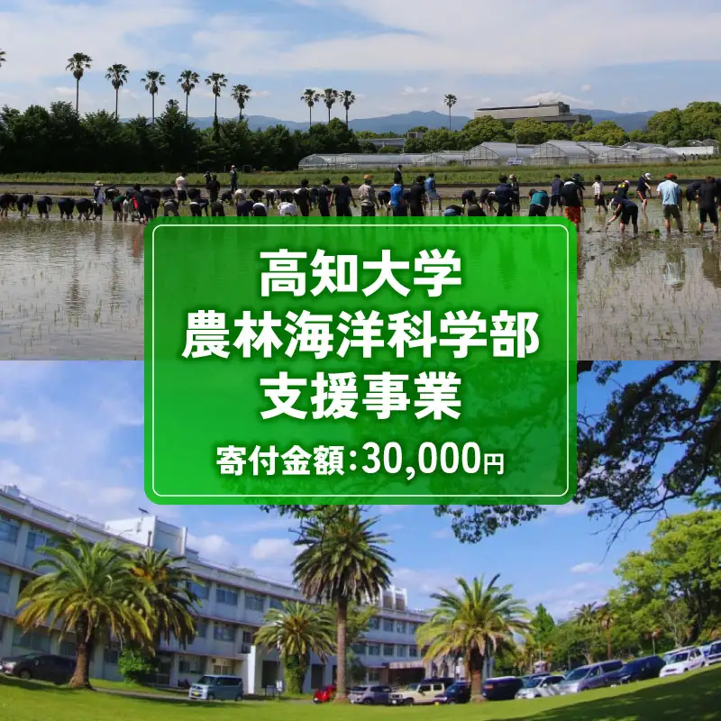 【返礼品なし/30,000円】高知大学 農林海洋科学部 支援事業(教育・研究・地域貢献を支える寄附) 支援