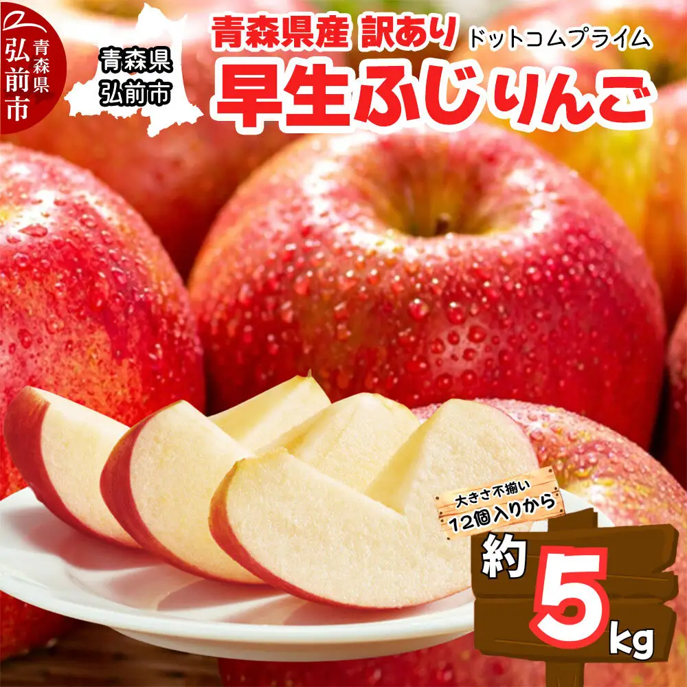 【26年10月中旬～11月下旬発送】りんご 早生ふじ 約5kg【訳あり ご家庭用】青森県産 青森 果物 フルーツ 林檎 リンゴ くだもの 弘前市