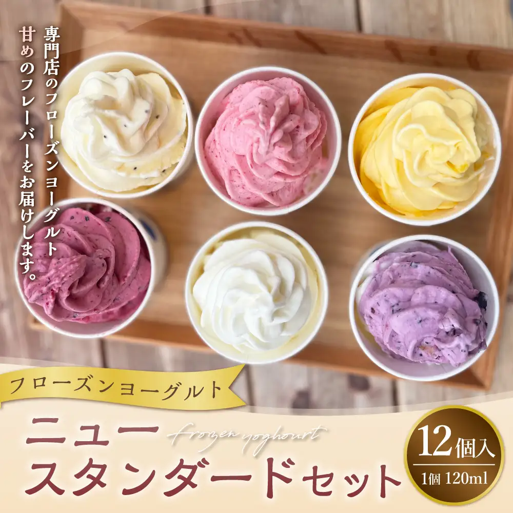 ニュースタンダード12個セット フローズンヨーグルト 120ml×12個 合計1440ml セット 詰め合わせ