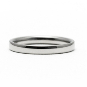 純チタン甲丸リング (幅2.5mm) 9号 | アクセサリー リング