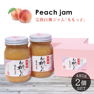 桃ジャム「ももっ子」 480g  2本セット [桃 もも モモ ジャム トースト 朝食 フルーツソース 果物 フルーツ 手作り］ ジュレ 