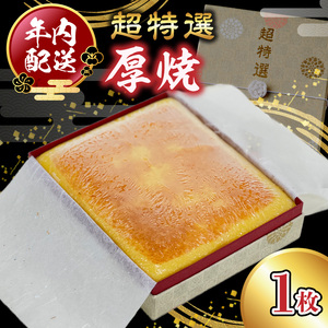 超特選厚焼 N006-YA769