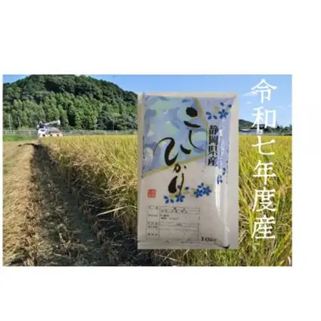 静岡こしひかり 精米 10kg【1680077】
