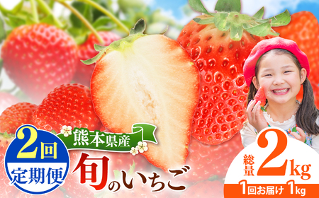 【定期便2回】 旬のいちご 約1000g