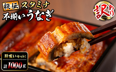 【訳あり】鹿児島県産！秘伝のスタミナうなぎ蒲焼き＜計1000g以上/6尾以上＞肝吸いセット！ にんにく黒酢パワーで丸々太った美味しい鰻！ うなぎ ウナギ 鰻 蒲焼き スタミナ 黒酢 ニンニク 不揃い 鹿児島 肝吸い d9-004