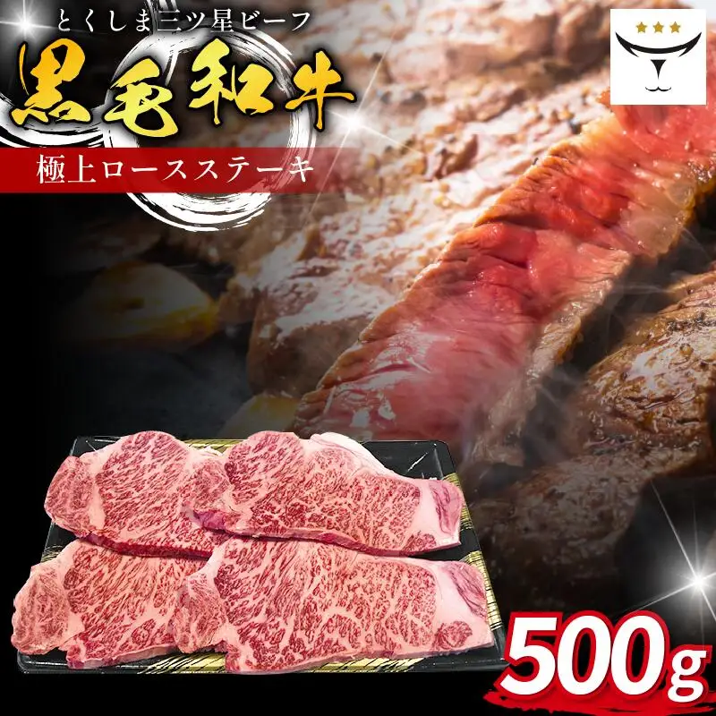 ロース 極上 ステーキ 250g 2枚 ステーキ