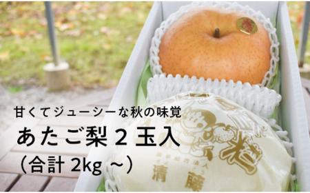あたご梨 上級品 2玉入(1.0kg級/玉) (岡山県産) / 和梨 【KF-C004-02】