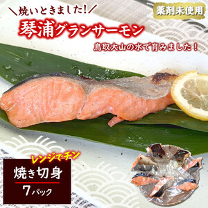 国産とっとり琴浦グランサーモン焼いときました 焼魚７切 塩焼き 不揃いのため訳あり 個包装 レンチン