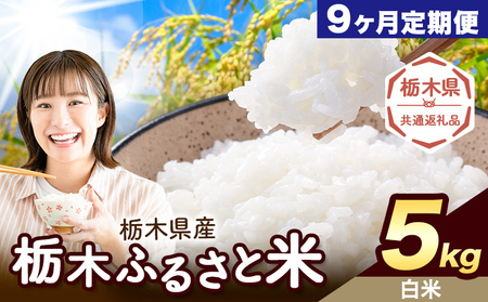 【9ヶ月定期便】栃木 ふるさと米 白米 5kg《お申込み翌月から出荷》おこめ【栃木県共通返礼品】