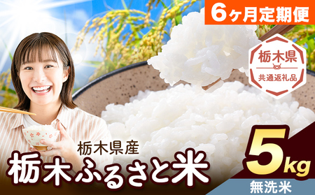 【6ヶ月定期便】米 栃木 ふるさと米 無洗米 5kg《申込月の翌月から出荷開始》栃木県 野木町 米 白米 精米 国産 お米 おこめ お弁当 おにぎり【栃木県共通返礼品】
