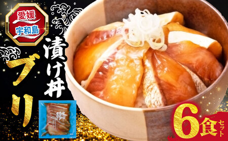 漬け丼 (鰤) 6食セット 南予ビージョイ 鰤 D010-150023