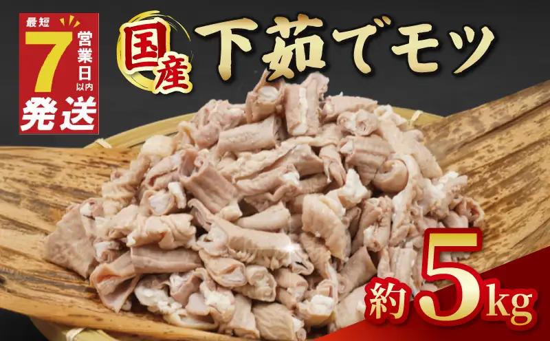 国産 下茹でモツ 約5kg 【 下茹でモツ 】