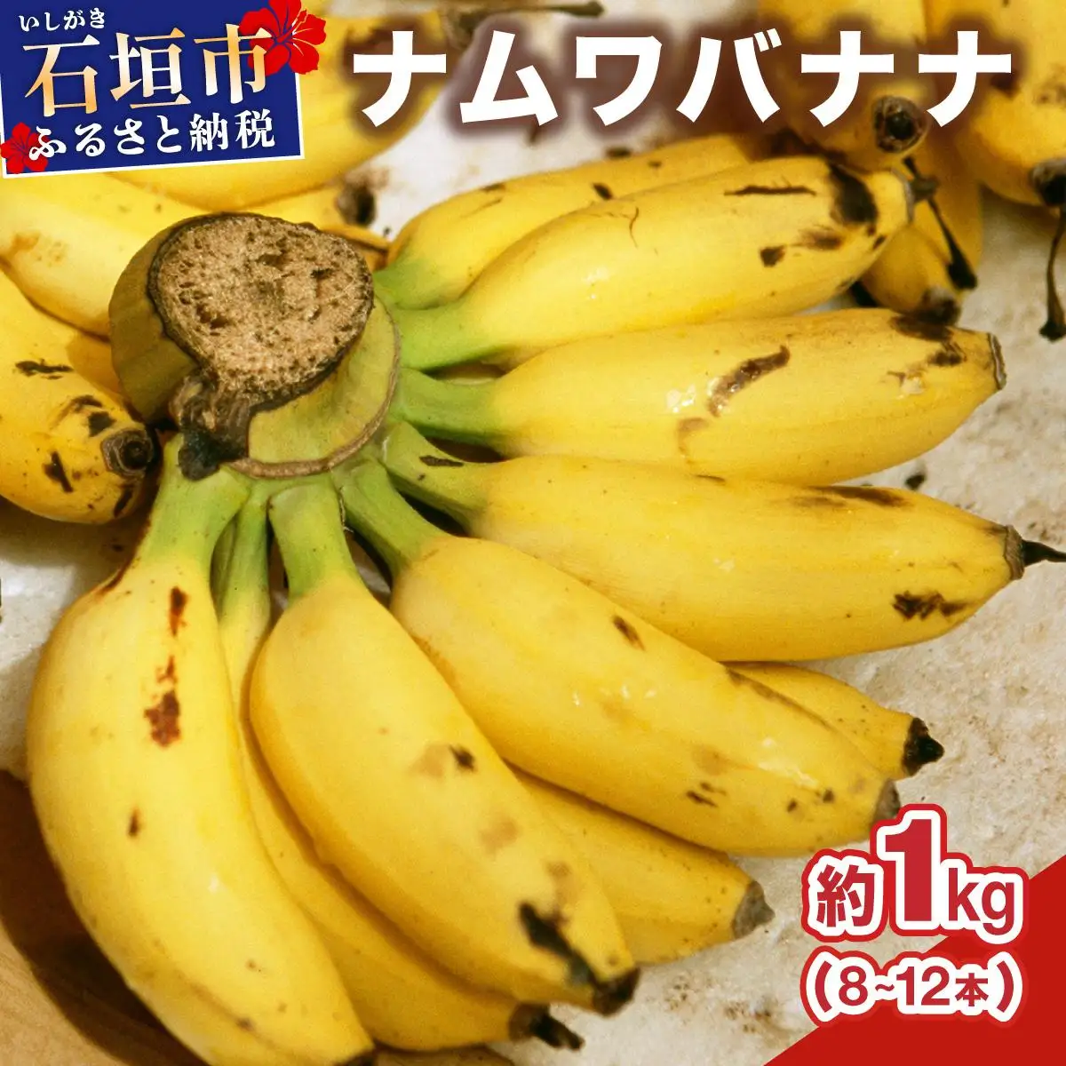 石垣島産 希少な国産『ナムワバナナ』を贅沢に1房丸ごと約1kg（8-12本） TF-101_R8