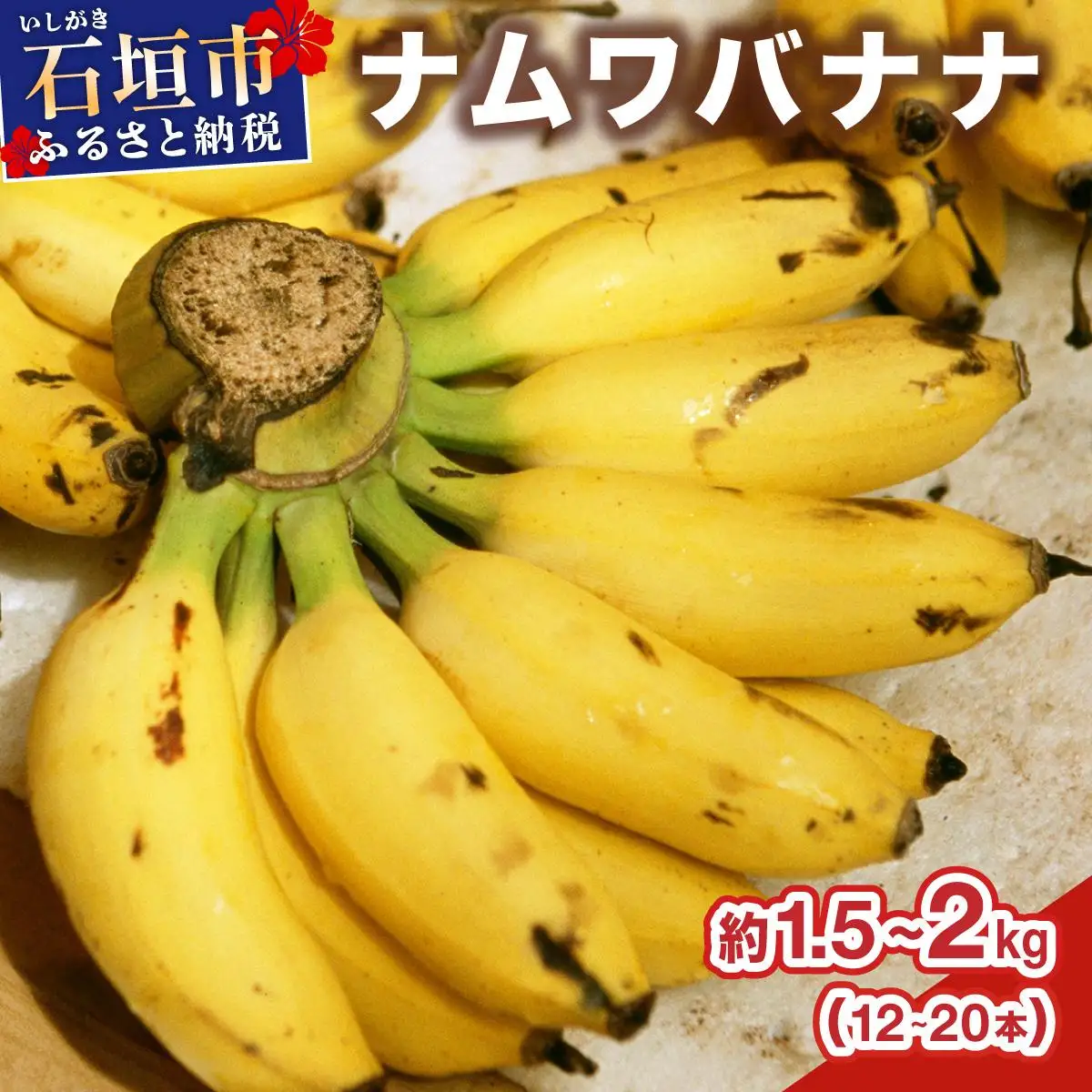 石垣島産 希少な国産『ナムワバナナ』を贅沢に1房丸ごと約1.5-2kg（12-20本） TF-102_R8