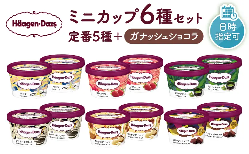 【着日指定できます】ハーゲンダッツ『ミニカップ12個セット（定番フレーバー＆ガナッシュショコラ）』アイスクリーム アイス スイーツ デザート_H0016-114