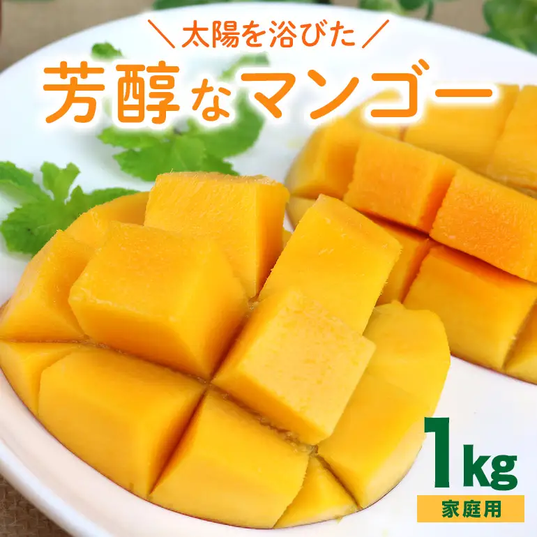【 先行予約 2026年 発送】 沖縄の太陽を浴びた芳醇なマンゴー 1kg ( ご家庭用 ) 沖縄県産 マンゴー アップルマンゴー アーウィンマンゴー 国産 完熟マンゴー 果物 南国 くだもの フルーツ 完熟 夏 旬 沖縄 お取り寄せ 産地直送 農家直送 糸満市 90-4